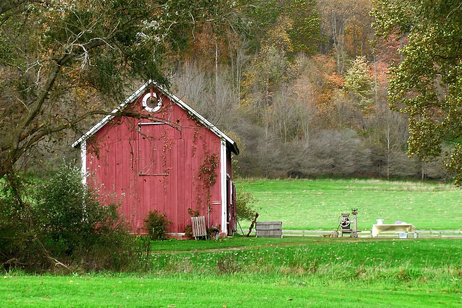 barn, red, red paint, amish, countryside, green grass, field HD wallpaper