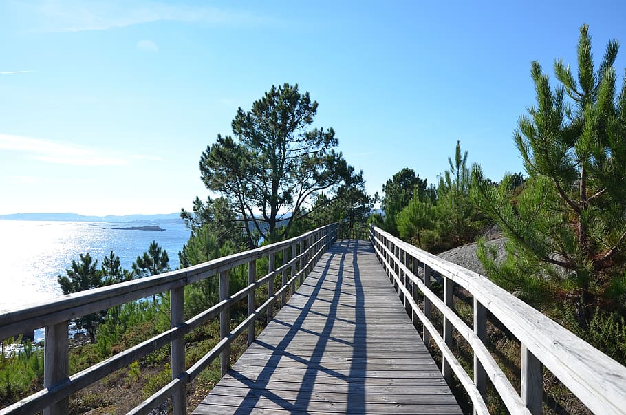 nature, away, web, walk, landscape, pier, wood, sun, summer HD wallpaper