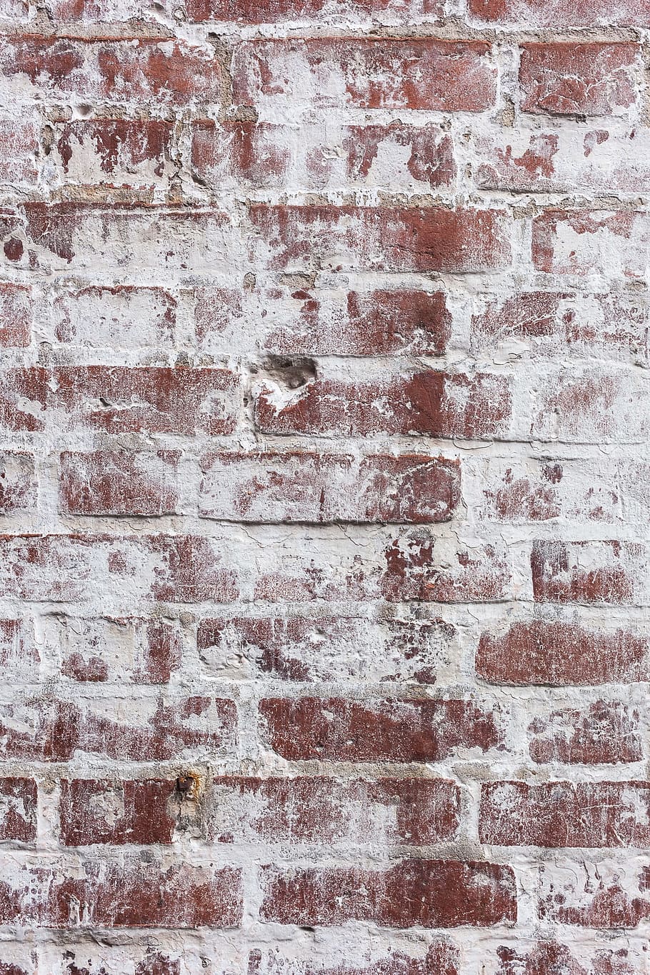 brown concrete wall, brick, background, brick wall, red, construction, HD wallpaper