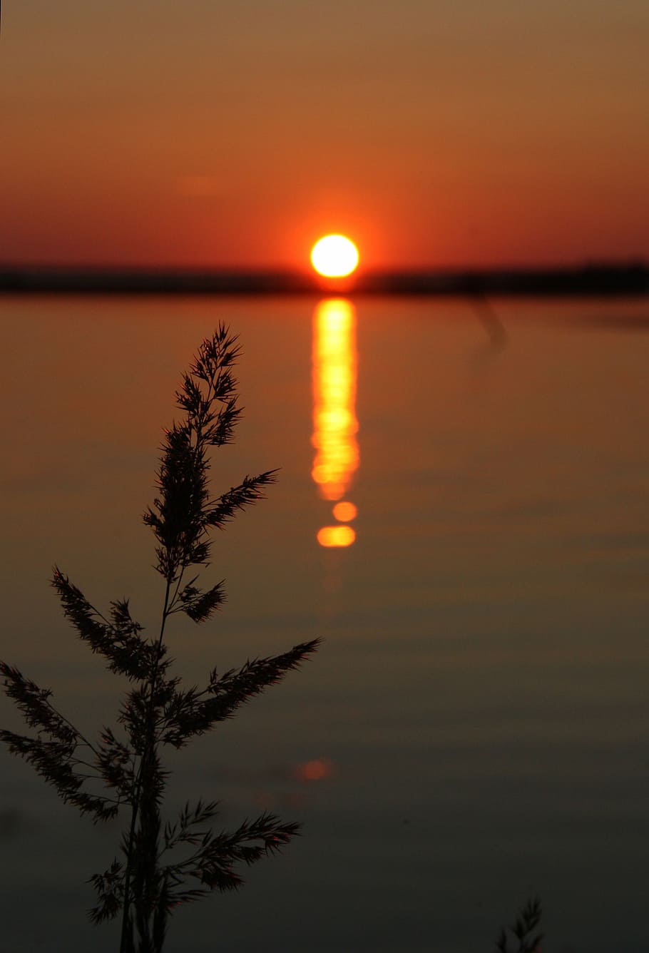 sunset, summer, sky, evening, beauty in nature, tranquility HD wallpaper