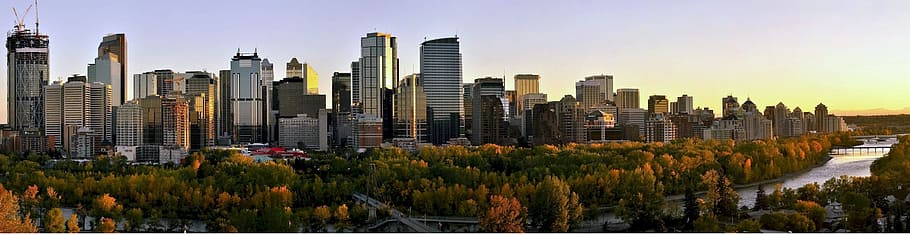 panoramic photo of city during day time, skyline calgary, cityscape, HD wallpaper