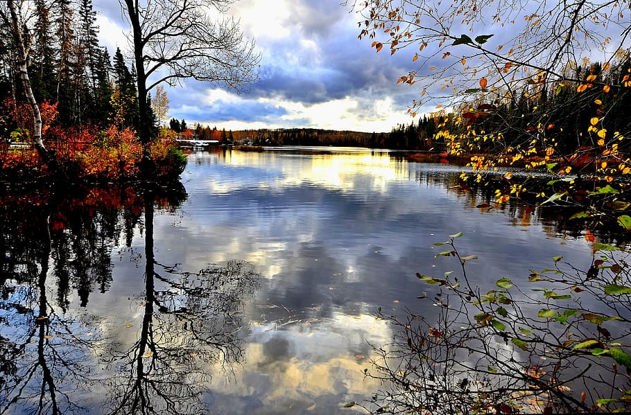 landscape, reflections, fall, leaves, water, lake, sky, trees HD wallpaper