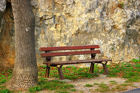 brown bench beside tree, thinking, relaxation, wooden, park HD wallpaper
