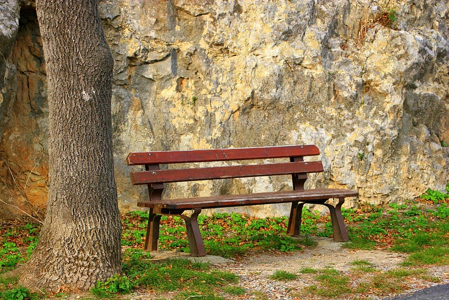 brown bench beside tree, thinking, relaxation, wooden, park HD wallpaper