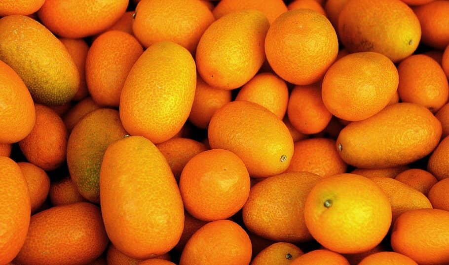 tropical fruit, orange, mini orange, kumquat, left untreated HD wallpaper