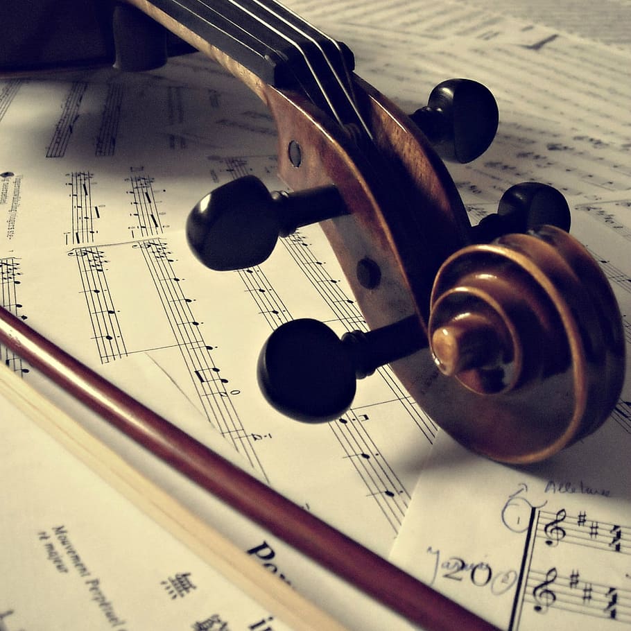 violin and music sheets, musical instrument, curl, tuning pegs, HD wallpaper