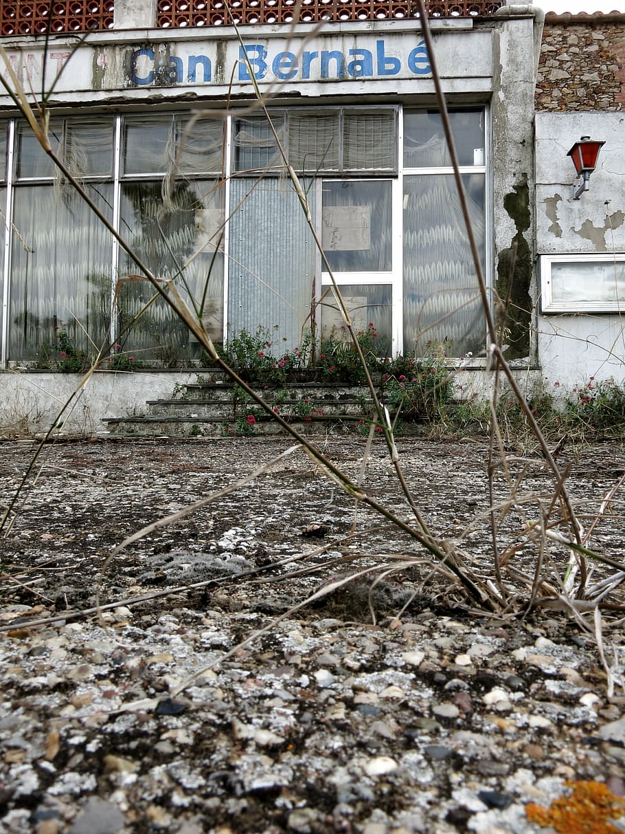 restaurant, decay, run down, old, forget, rots, ruin, built structure HD wallpaper