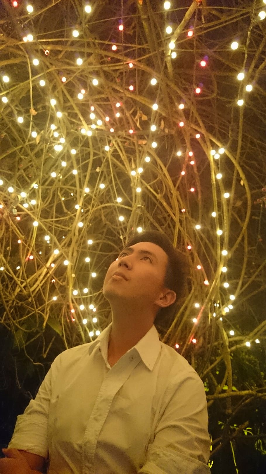 garden, lights, romantic, young, boy, night, evening, illuminated HD wallpaper
