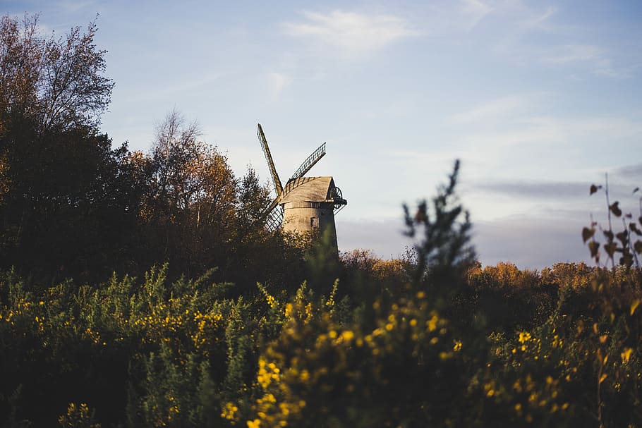 brown windmill on grass field, flower field overlooking windmill HD wallpaper
