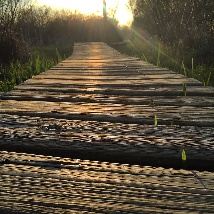 boardwalk, sunset, nature, landscape, summer, wooden, travel HD wallpaper