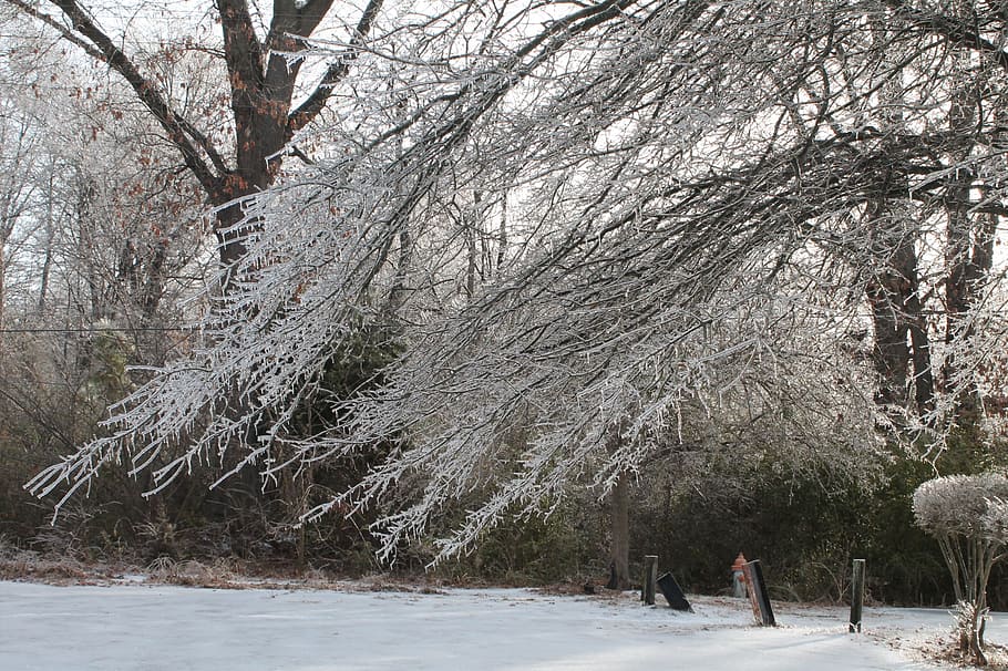ice, winter, cold, snow, nature, landscape, white, january HD wallpaper