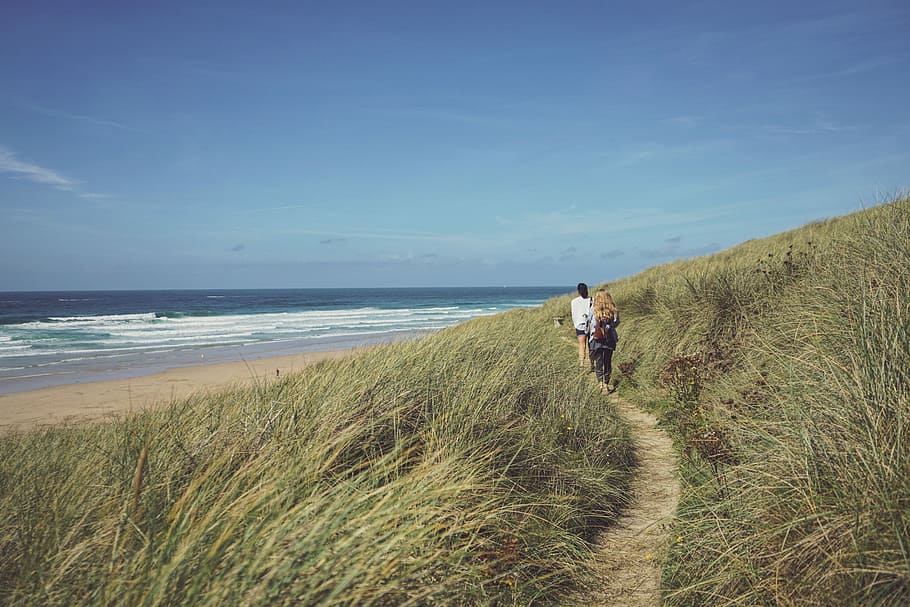 people walking between green grass near shore during daytime, two person walker near sea shore HD wallpaper