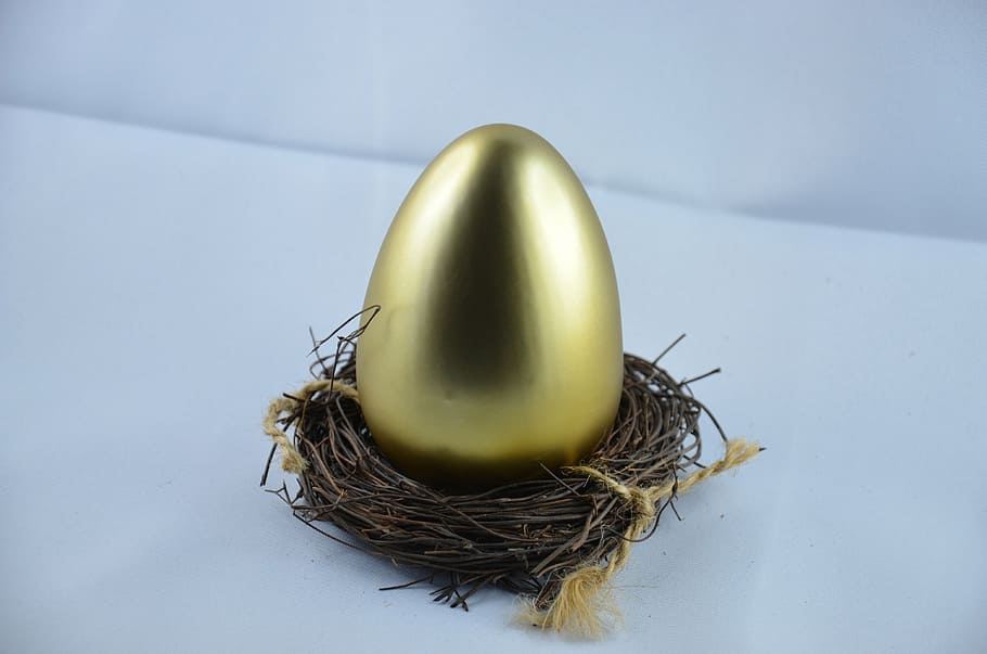 gold-colored egg decor, nest, easter, easter egg, eggs nest, animal, HD wallpaper