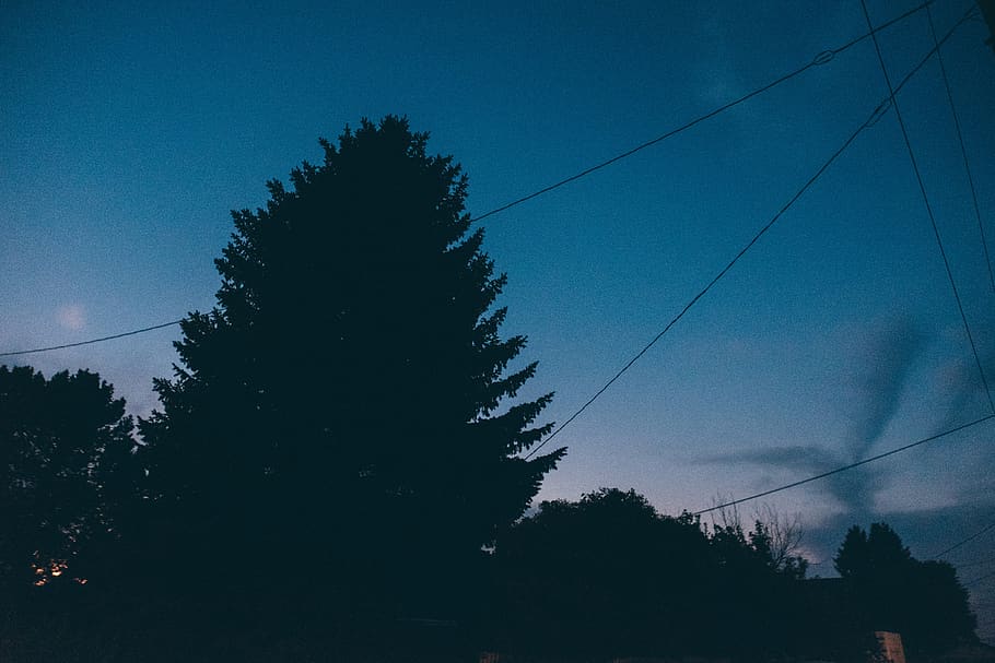 sunset, dusk, sky, night, evening, dark, trees, silhouette HD wallpaper