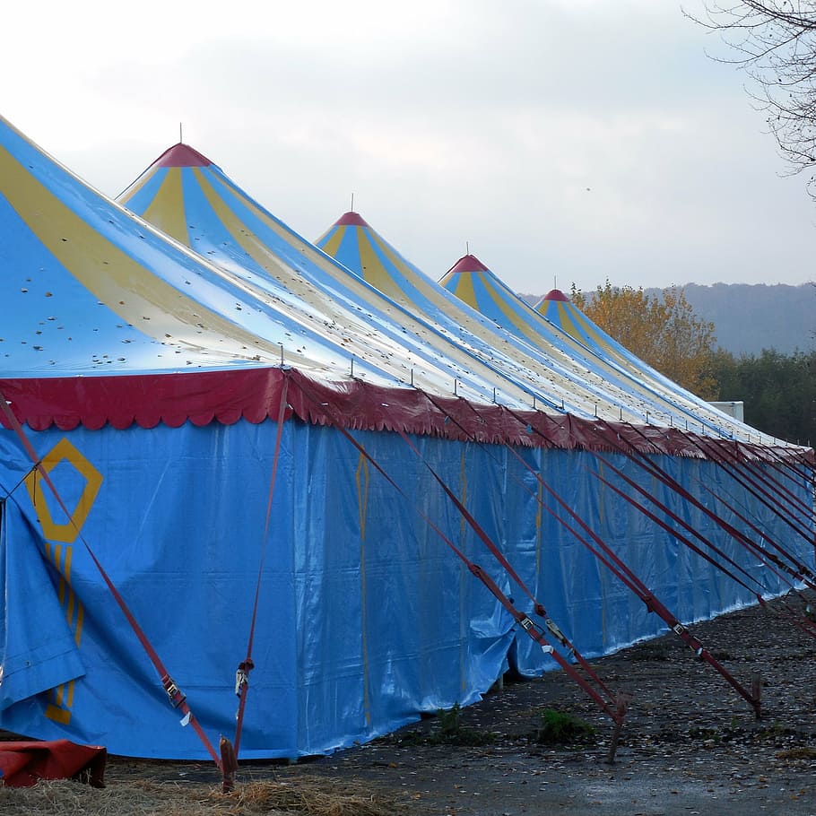 tent, circus, circus tent, folk festival, sky, day, nature, HD wallpaper