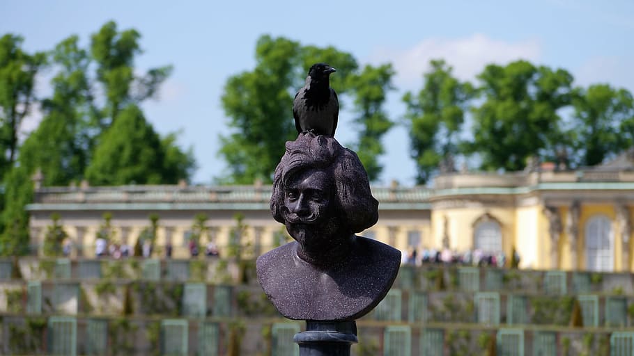 statue, head, sculpture, man, crow, raven bird, bust, art and craft HD wallpaper