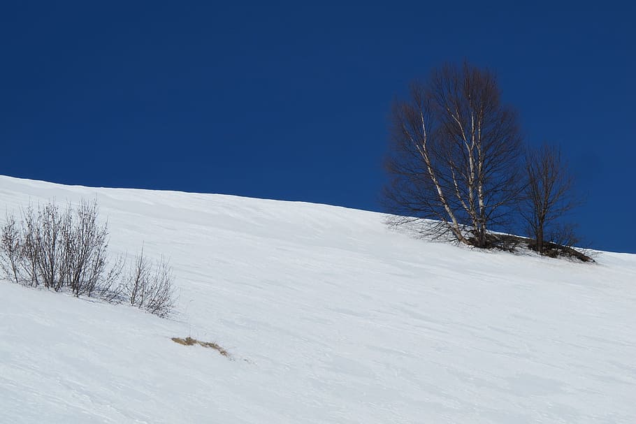 canada, beach, dune, snow, blue and white, cold temperature HD wallpaper
