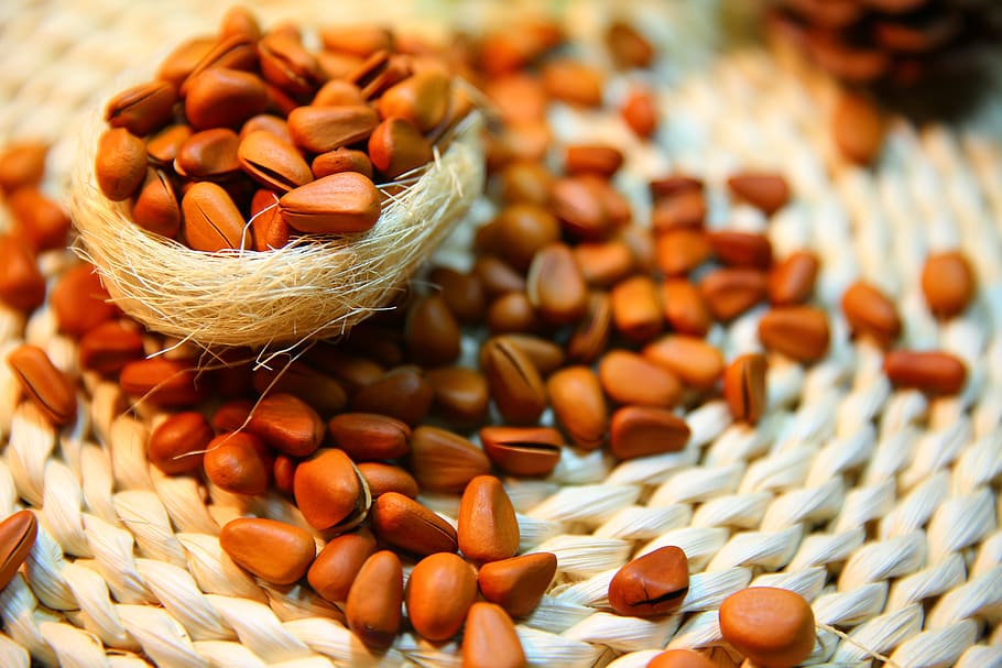 bunch of brown nuts, pine nuts, protein, food, food and drink HD wallpaper