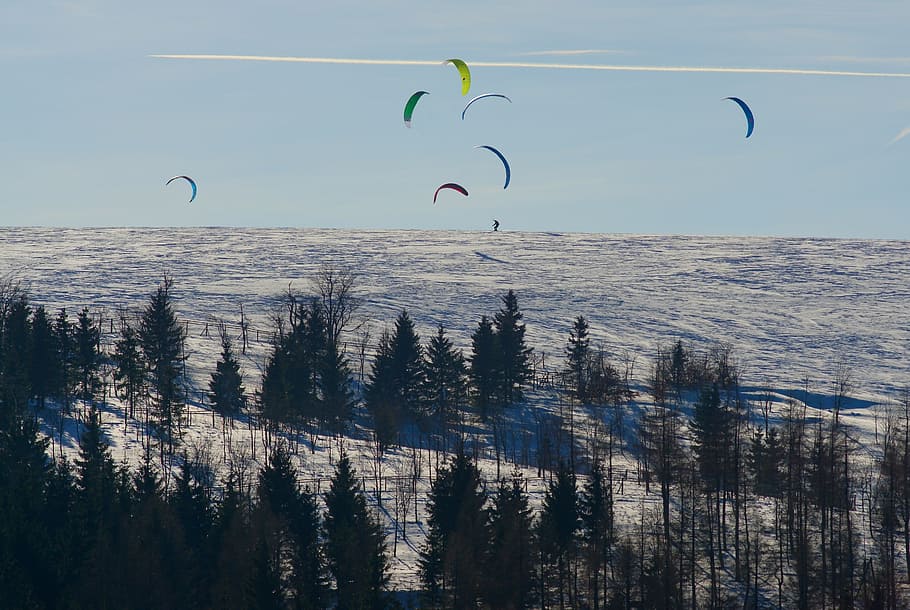 winter, snow, forest, snowkiting, the ore mountains, winter sports HD wallpaper