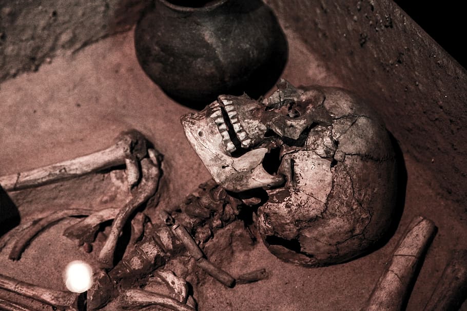 Fractured Skull, Skeleton, Old, ancient, dead, death, bone