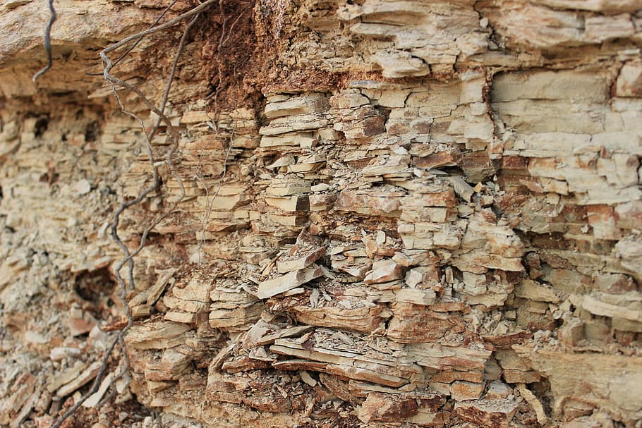 clay, grain, texture, full frame, textured, backgrounds, tree trunk HD wallpaper