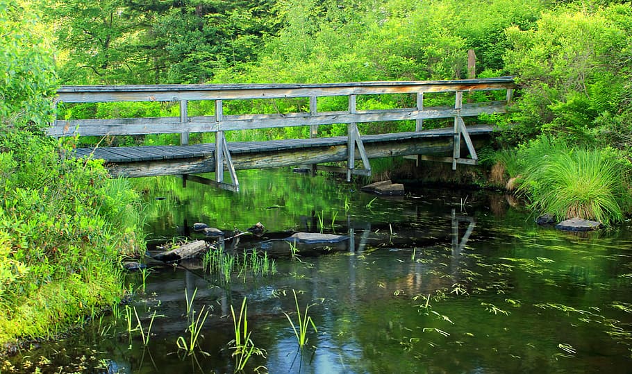 bridge, grass, outdoors, river, water, nature, tree, bridge - Man Made Structure HD wallpaper
