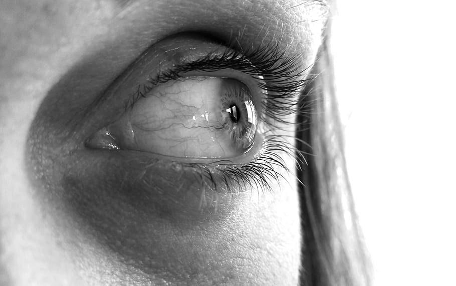grayscale photo of person's eyelashes, eyeball, close-up, light HD wallpaper