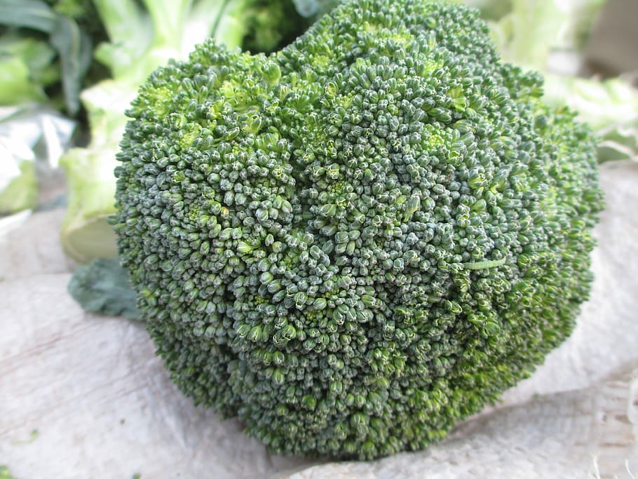broccoli, vegetable, green, organic, vegetarian, food, fresh HD wallpaper