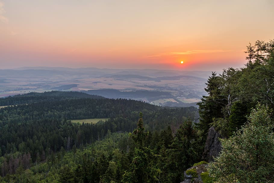 green forest with clouds during golden hour, landscape photo of forest under gray sky at sunset HD wallpaper