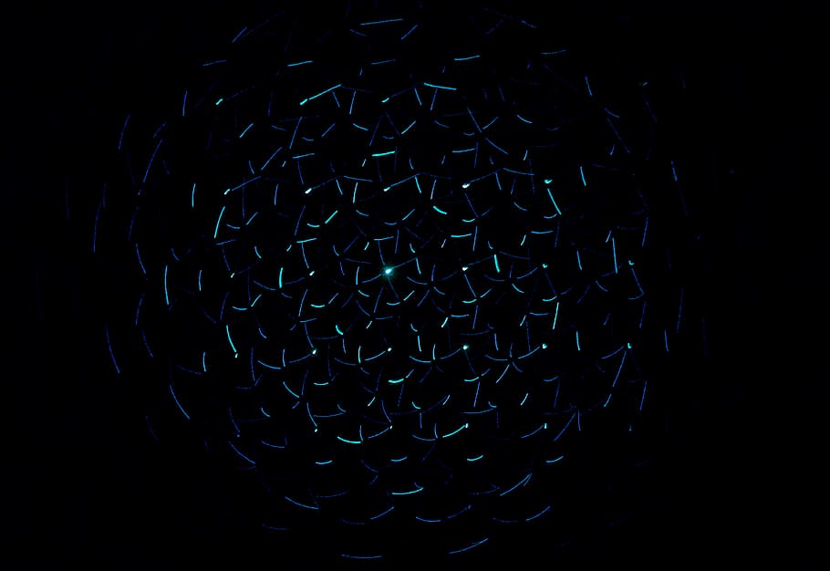 light decorations in dark area, untitled, shape, night, abstract HD wallpaper