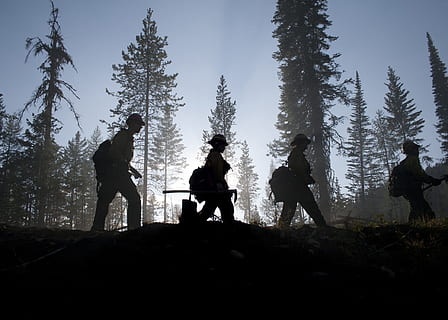 people walking beside trees, Forest, Firefighters, Silhouette HD wallpaper