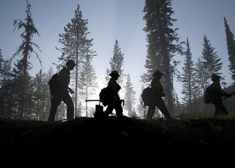 people walking beside trees, Forest, Firefighters, Silhouette HD wallpaper