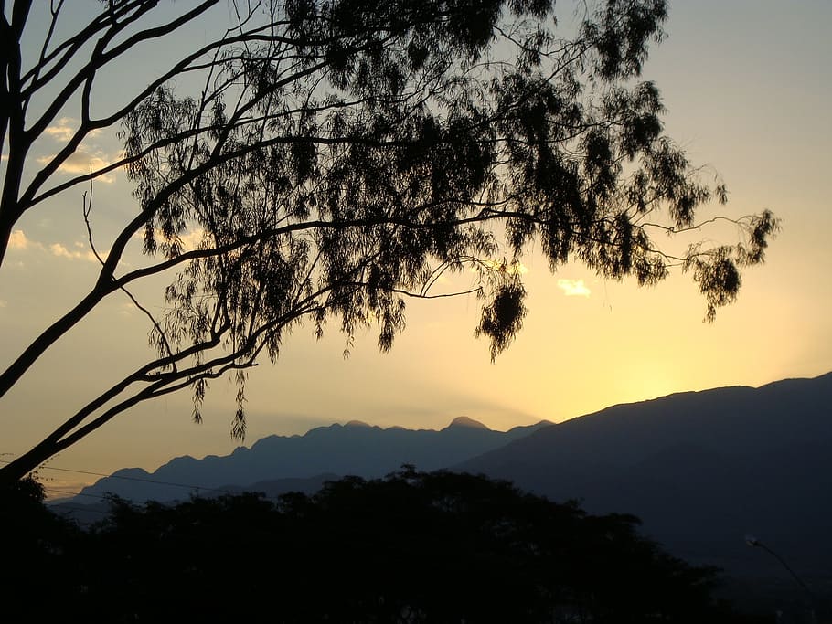 flying, mountain, tree, sunset, landscape, twilight, silhouettes HD wallpaper