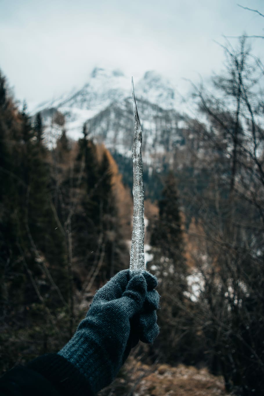 person holding dried branch, person holding ice near mountain alps HD wallpaper