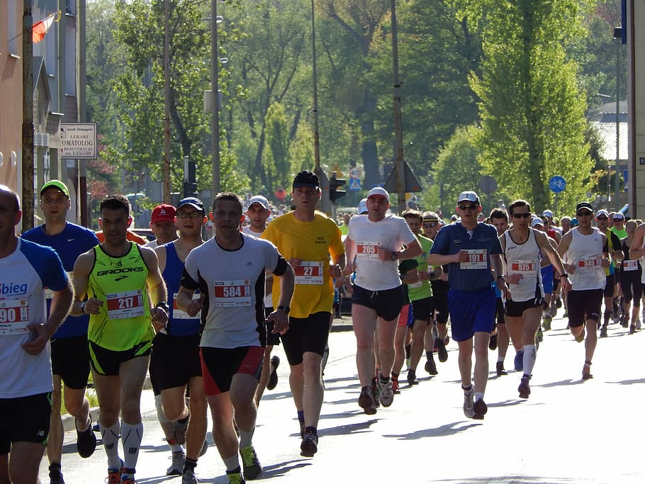 group of people running in marathon, jogging, race, crowd, real people HD wallpaper