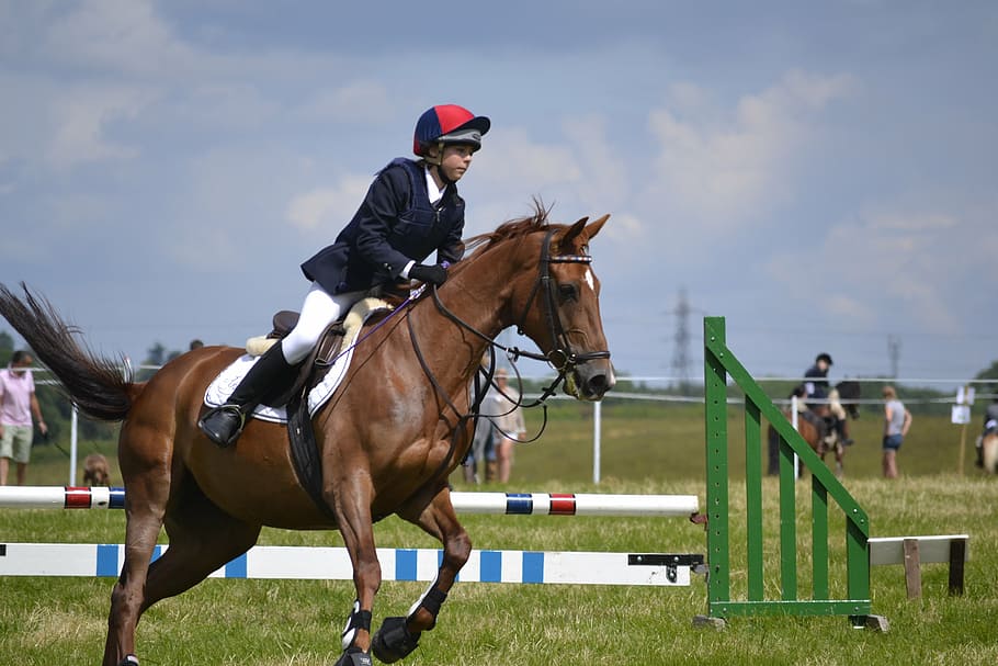 man riding horse during daytime, competing, compete, competition HD wallpaper