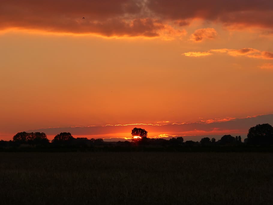Sunset, Trees, Evening Sun, Sky, red, clouds, landscapes, red sun HD wallpaper