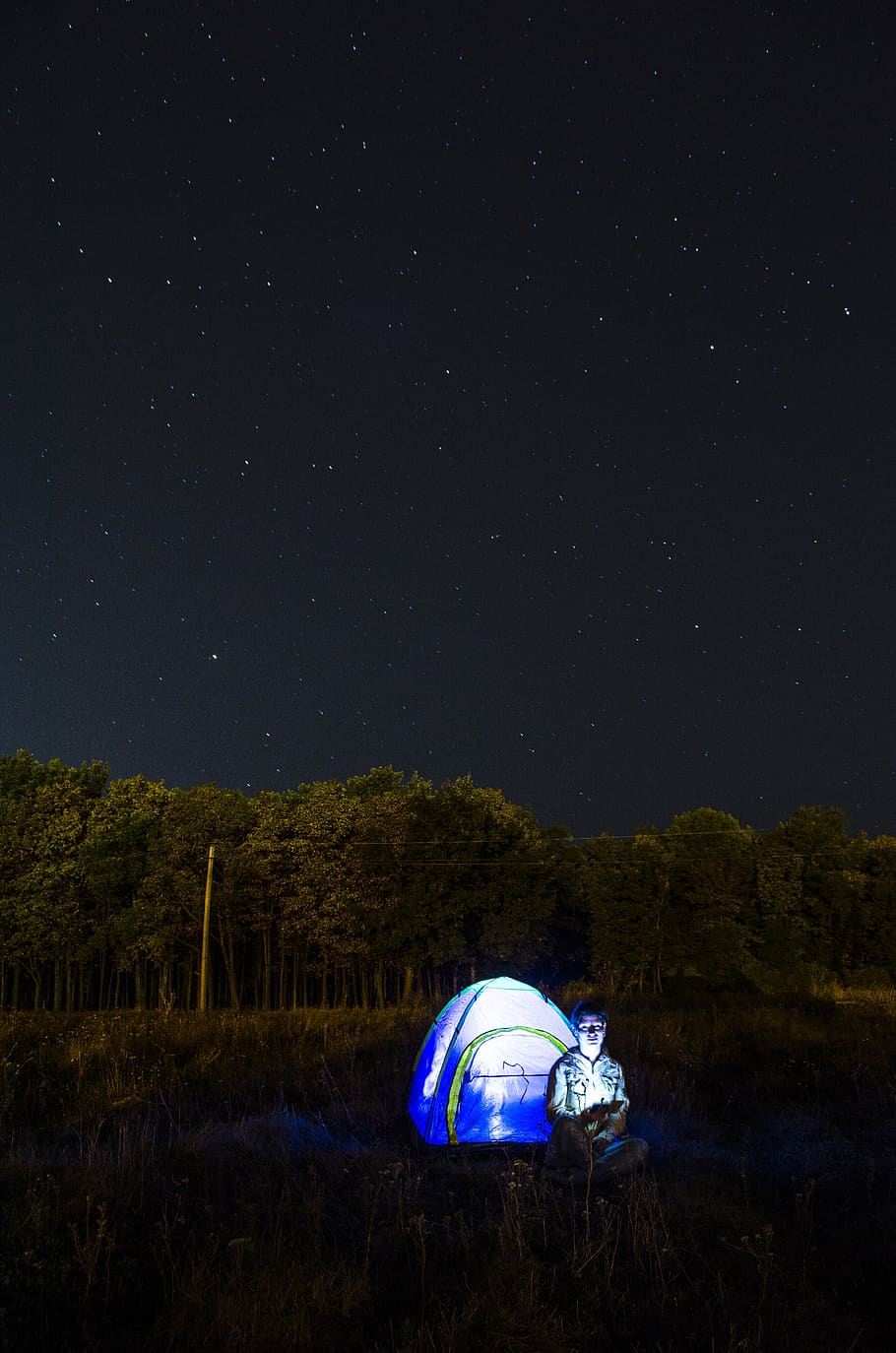tent, star, forest, night, sky, star - space, astronomy, beauty in nature HD wallpaper