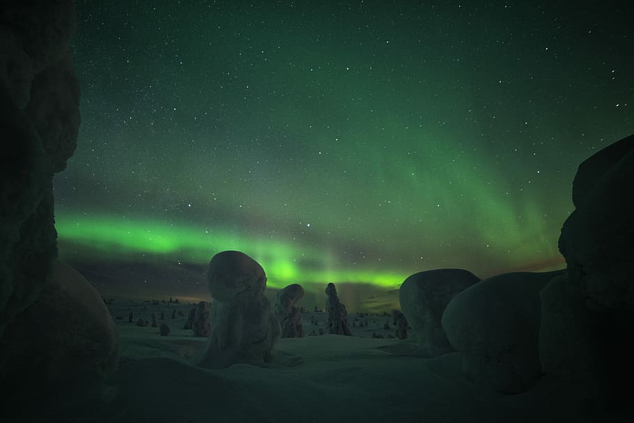 Cold Stars, Northern lights during winter, night, forest, snow HD wallpaper