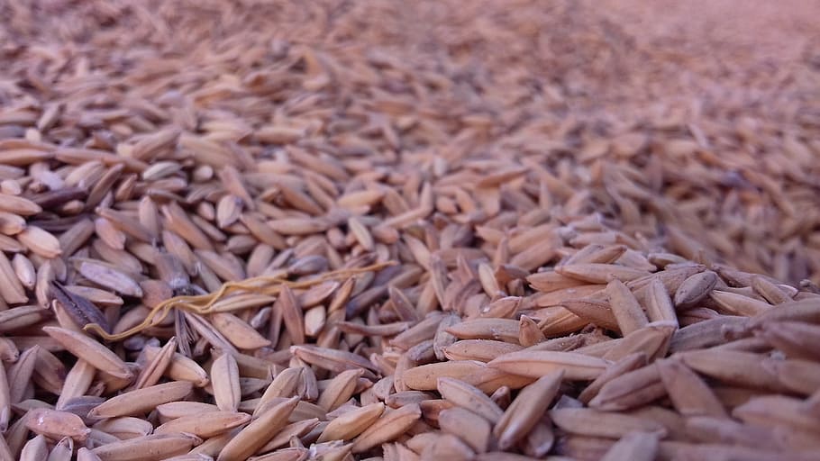batch, dry, desktop, pattern, pile, full frame, backgrounds HD wallpaper