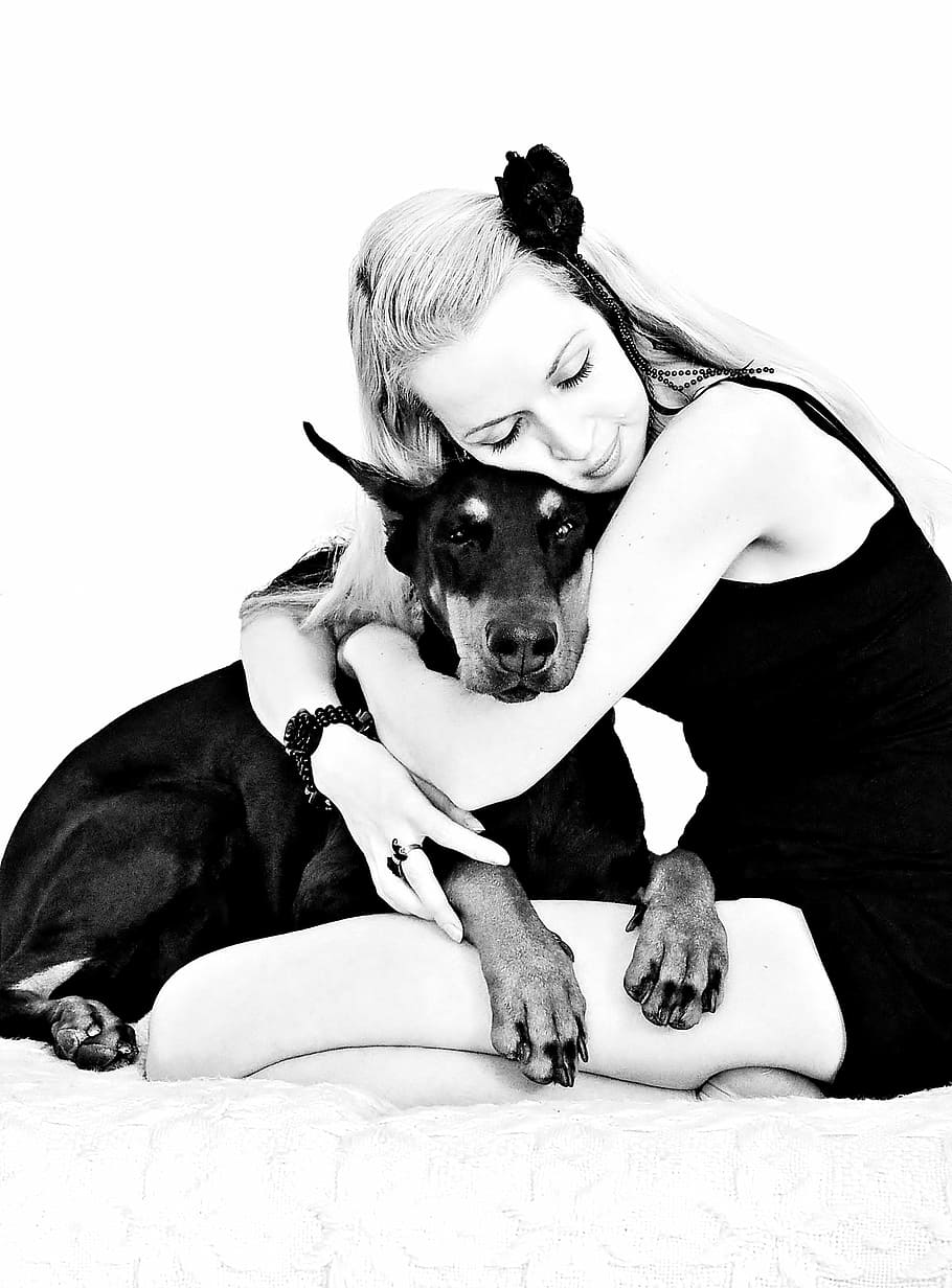 woman hugging adult Doberman pinscher, black white, blonde girl, HD wallpaper