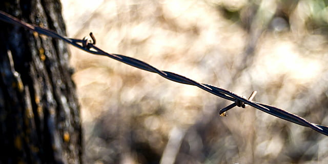 Fence, Rustic, Barbed, Wire, Metal, dom, twisted, forbidden HD wallpaper