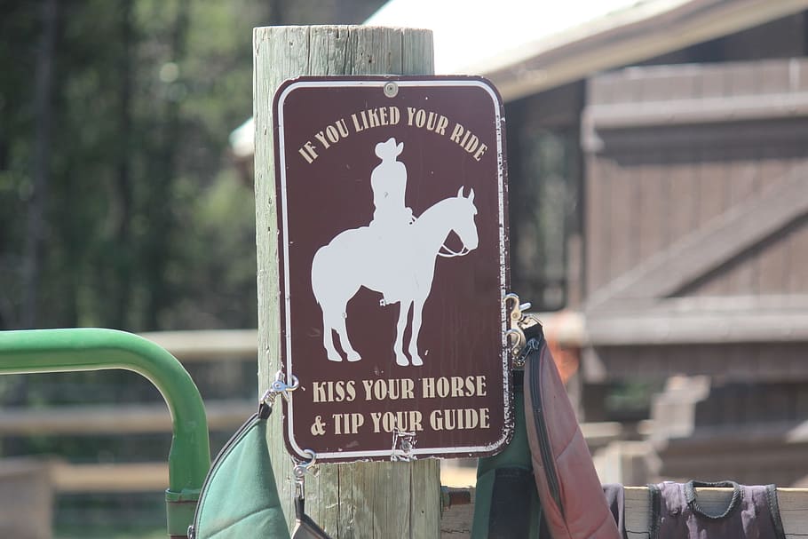horseback, yellowstone, cowboy, riding, horses, guide, cowgirl