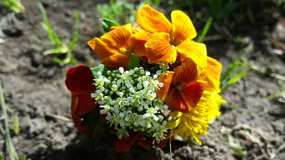 Flowers, Bouquet, Summer, Spring, spring bouquet, nature, sun HD wallpaper