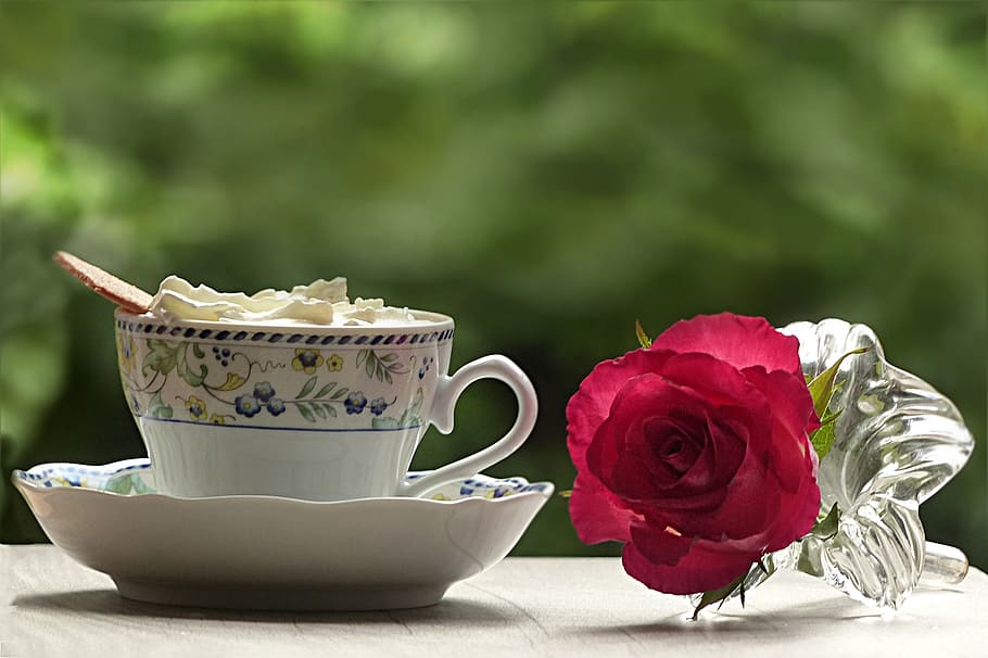 red rose near white and blue floral ceramic mug, drink, coffee HD wallpaper