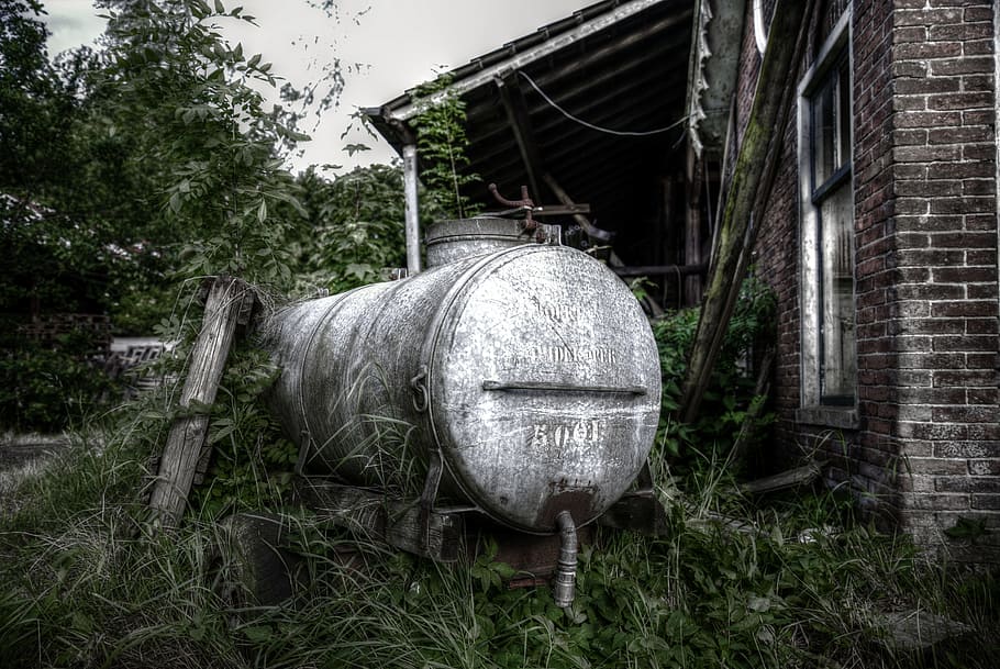wood, building, trees, countryside, abandoned, antique, architecture HD wallpaper