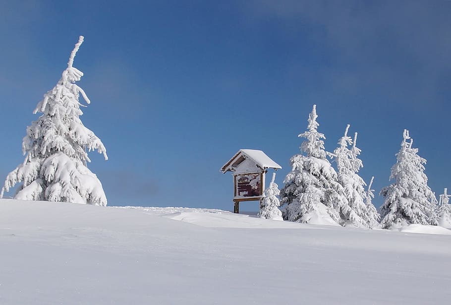 Winter, Ore Mountains, the ore mountains, czech republic, solitude