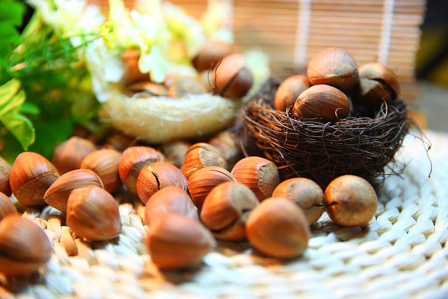 brown chestnuts lot, hazelnut, protein, food and drink, selective focus HD wallpaper