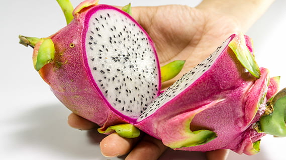 Fruit, Dragon, White, Isolated, background, pink, nature, food HD wallpaper