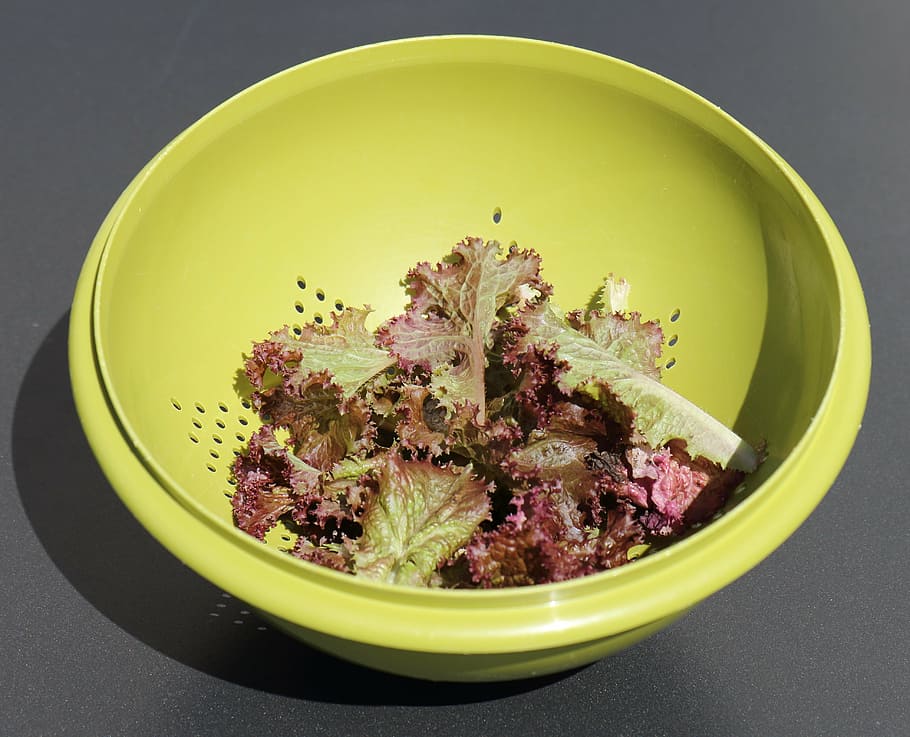salad, colander, green, plastic mesh, food and drink, indoors HD wallpaper